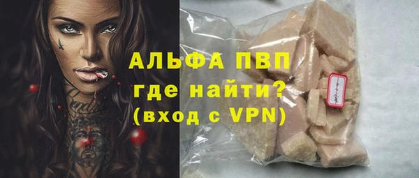 стаф Вязьма