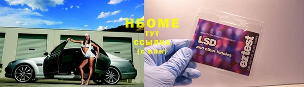 стаф Вязьма