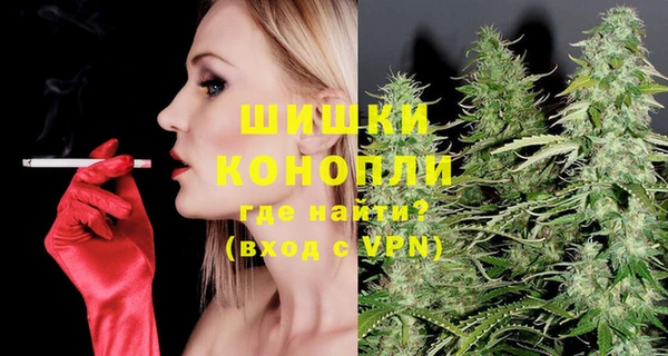 стаф Вязьма