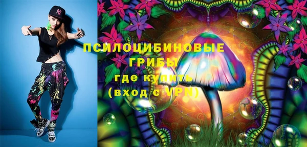 стаф Вязьма