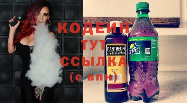 стаф Вязьма