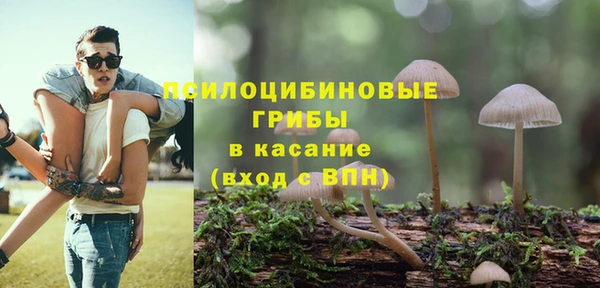 стаф Вязьма